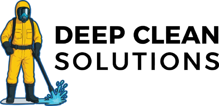 DeepClean Solutions  logo