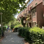 Glas renovatie Amsterdam Z.O