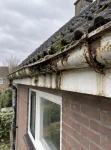 voor