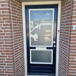 Hr++ met satijnmat