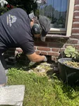 Oude isolatie wordt professioneel uitgezogen voor een nieuwe, effectieve vulling.