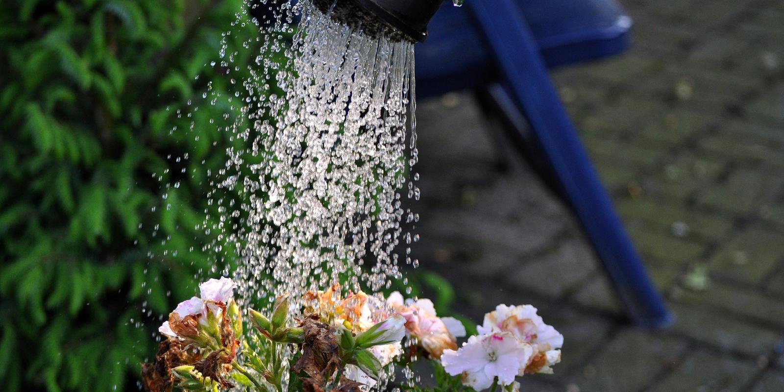 Watergeven planten in bloembakken