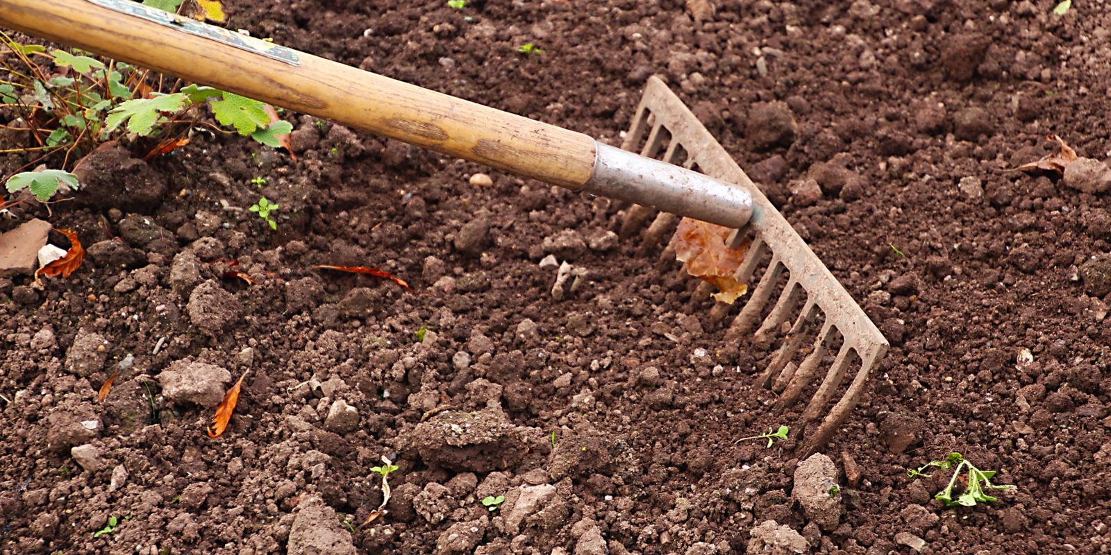 Harken voor bloembollen planten
