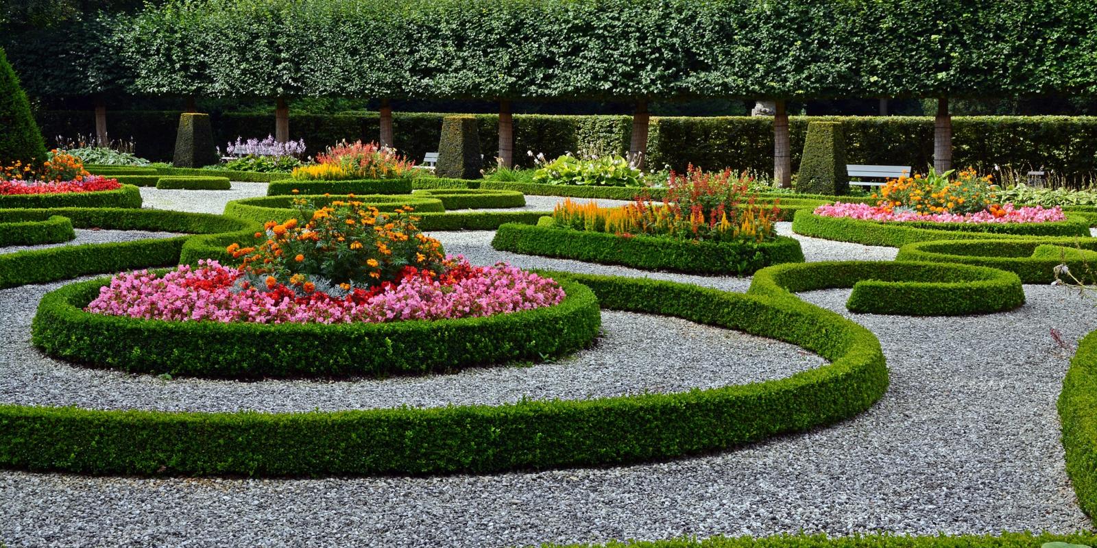 Snoeien buxus