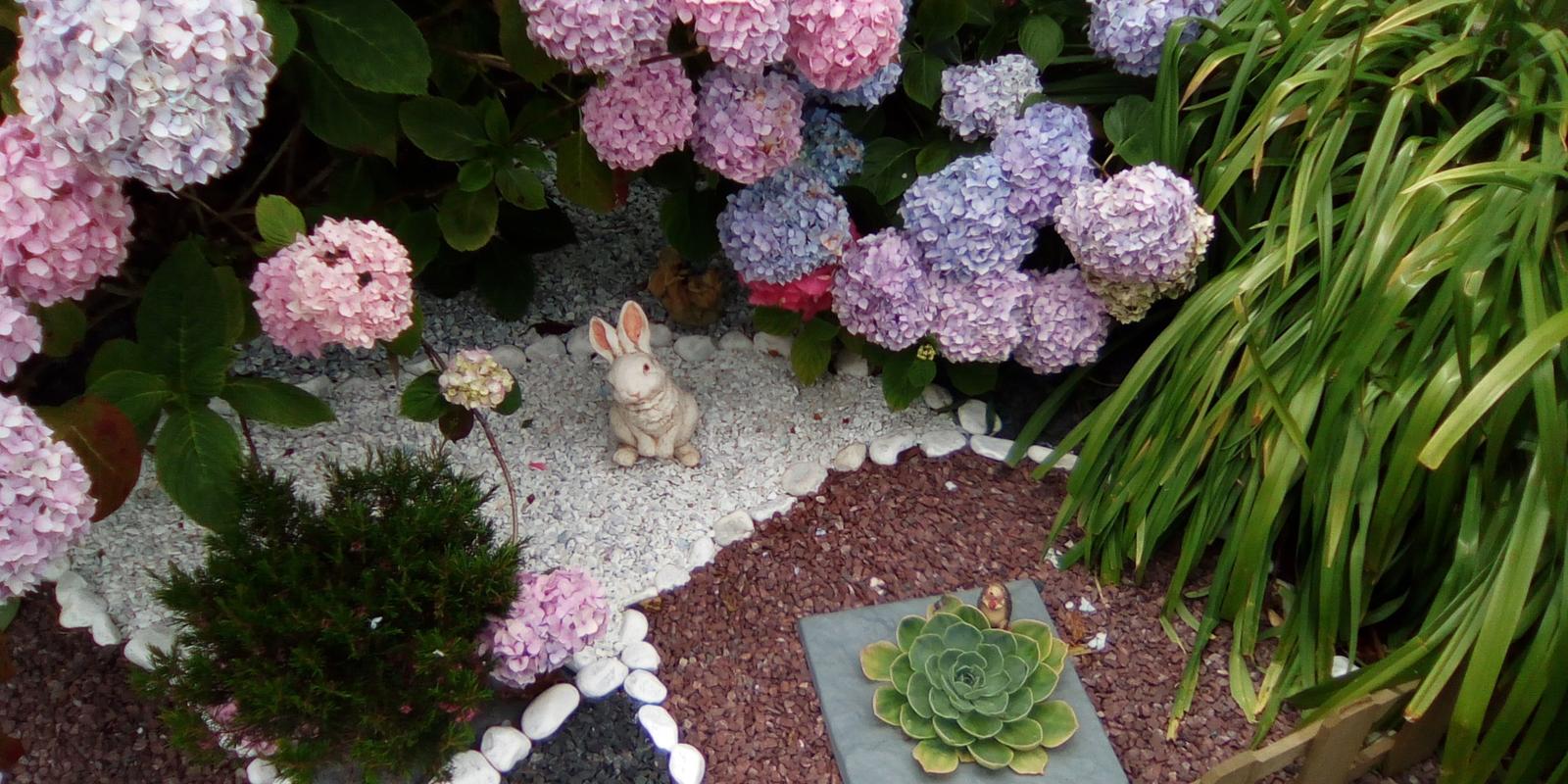 Hortensia verzorging