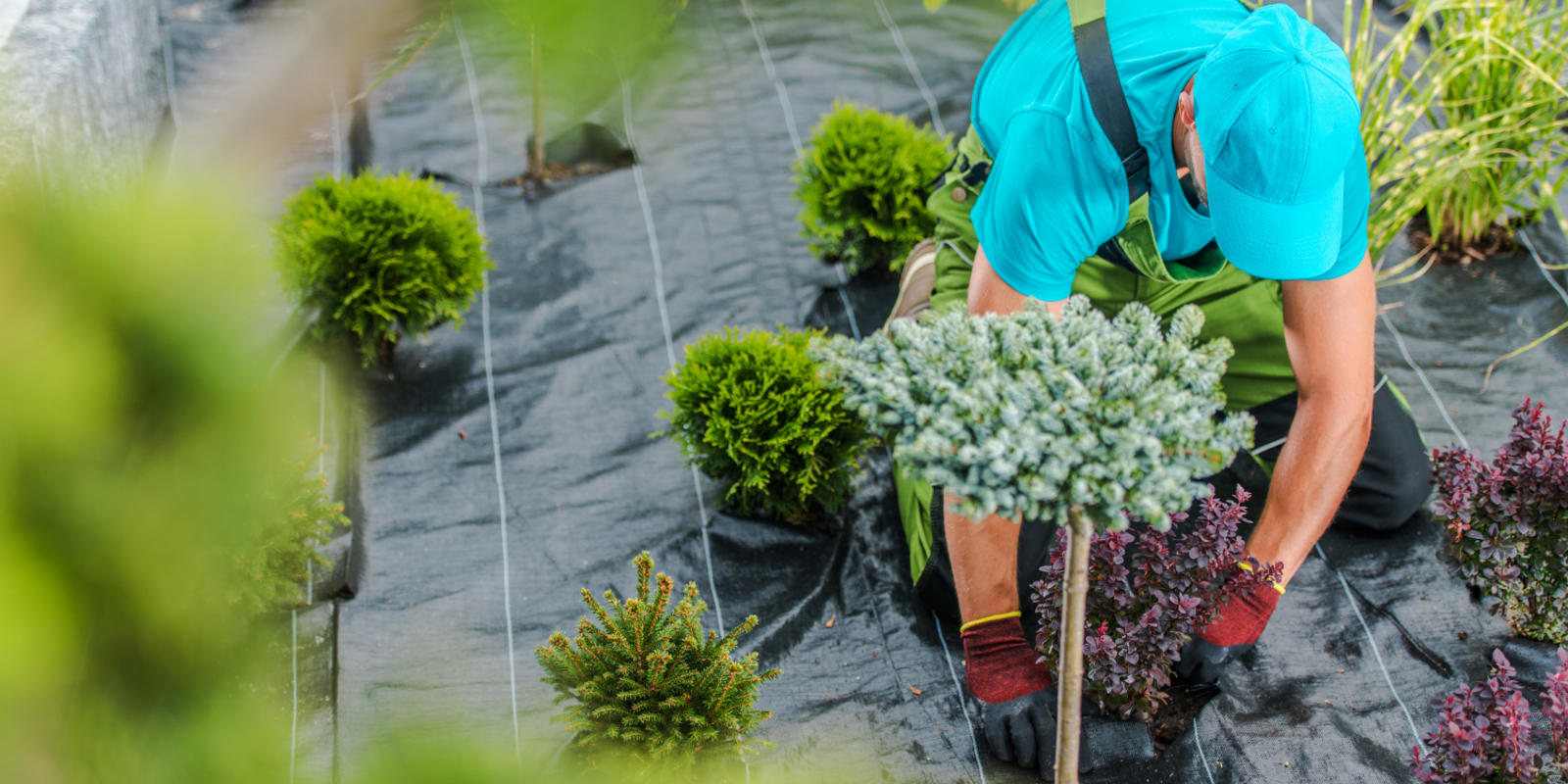 wat kost tuin aanleggen
