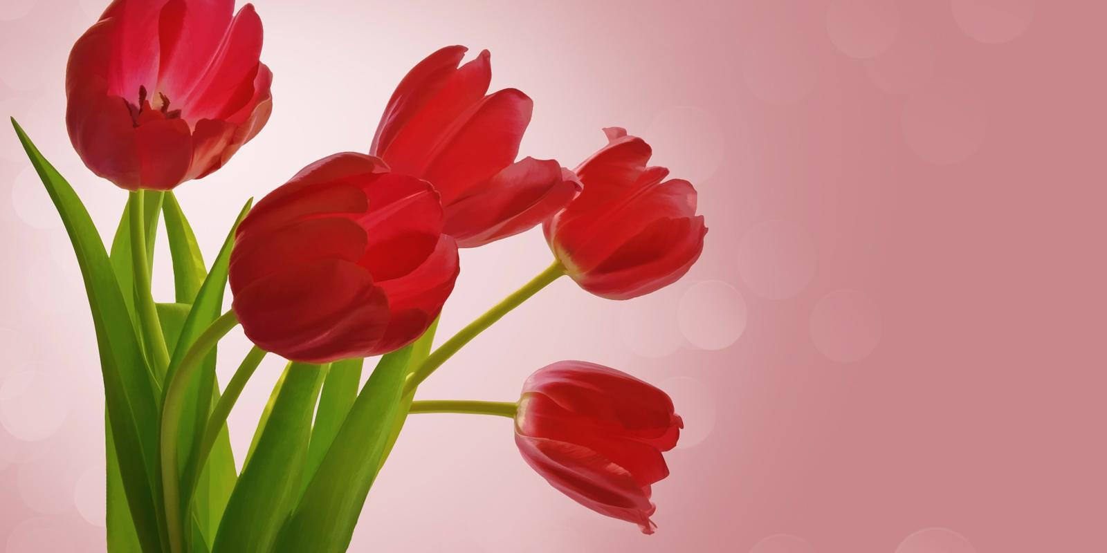 bloemen in huis