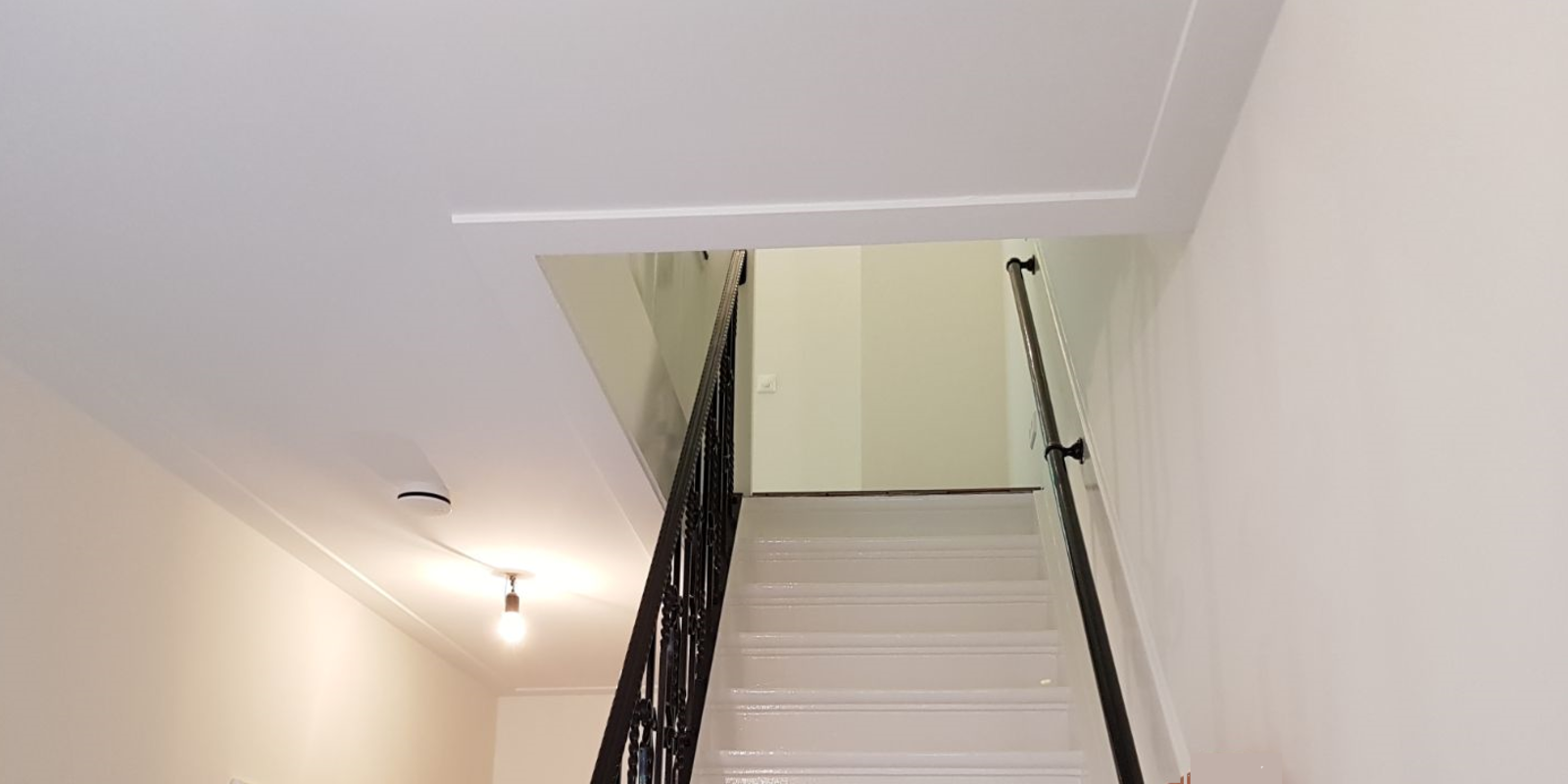 sausen plafond