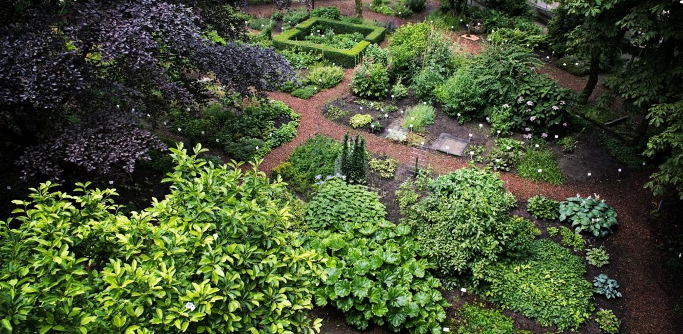 Botanische Tuin Ideeen Foto S Voorbeelden Bekijken Slimster