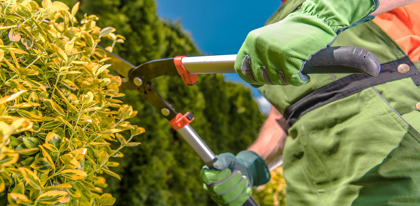 Tuin aanleggen of verbouwen? → Vrijblijvend offertes - Slimster