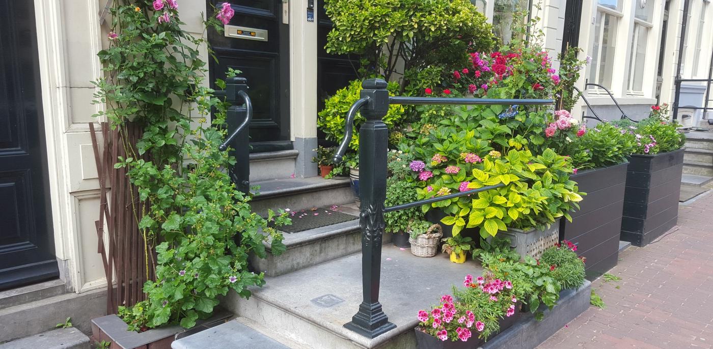 Krijg je subsidie voor een groene tuin aanleggen? πΆπ‘ - Slimster