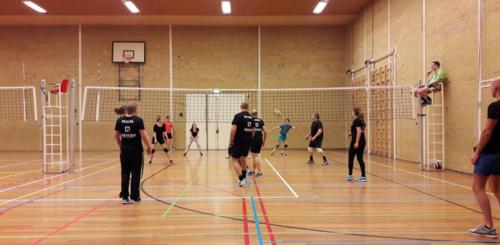 Bedrijfsvolleybal in Nijkerk