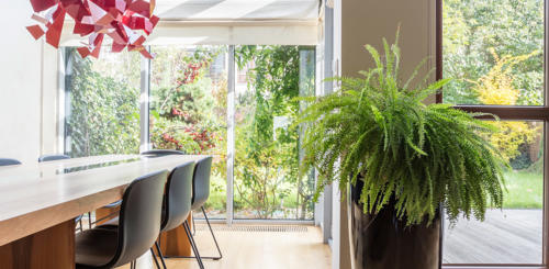 huis en tuin