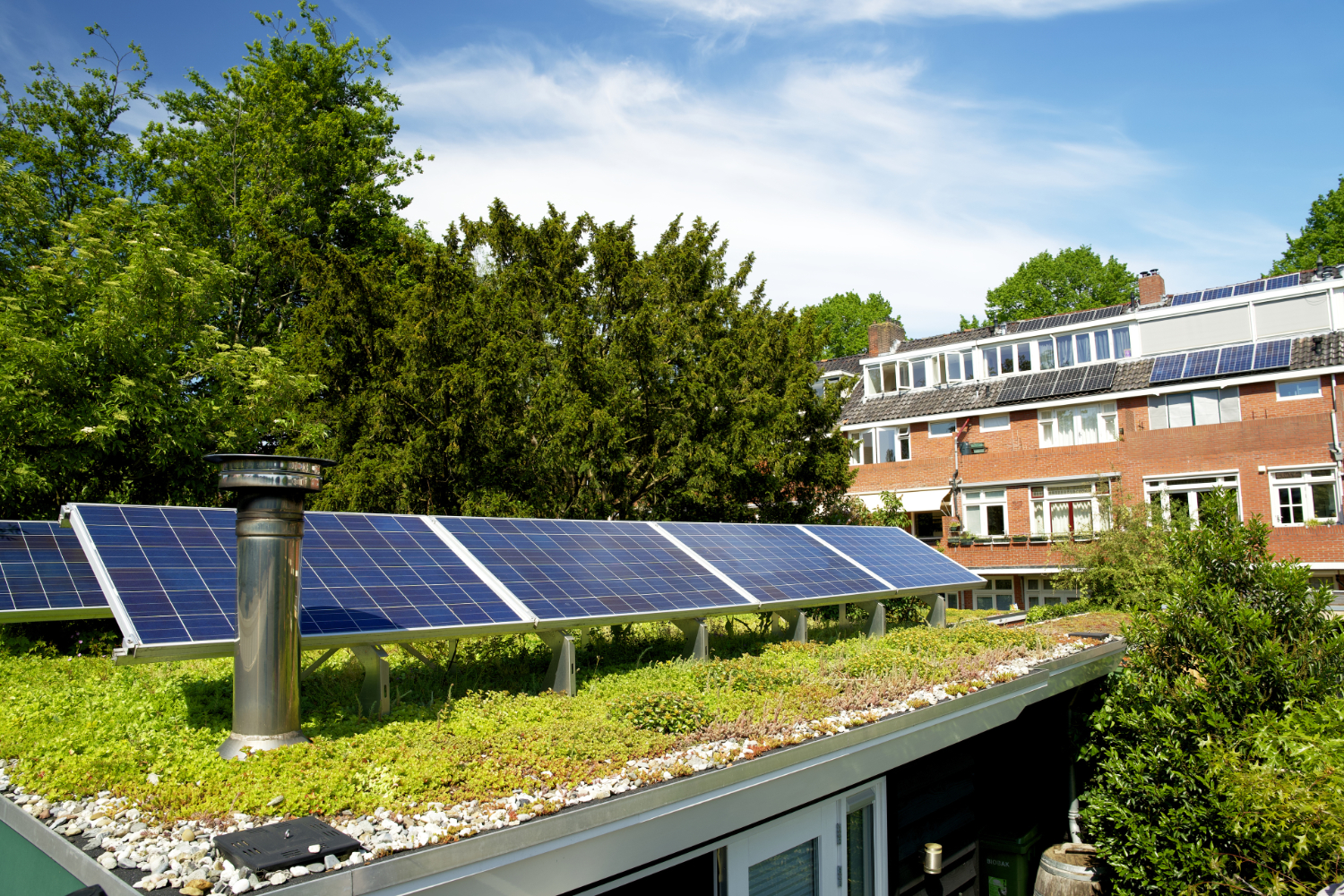 Sedumdak met zonnepanelen